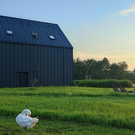 Apartamenty Boczna 3B Z Sauna I Balia 쿠도바-즈루이 외부 사진